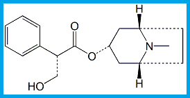 HYOSCYAMINE (BASE) / HYOSCINE EP IMPURITY D (BASE)